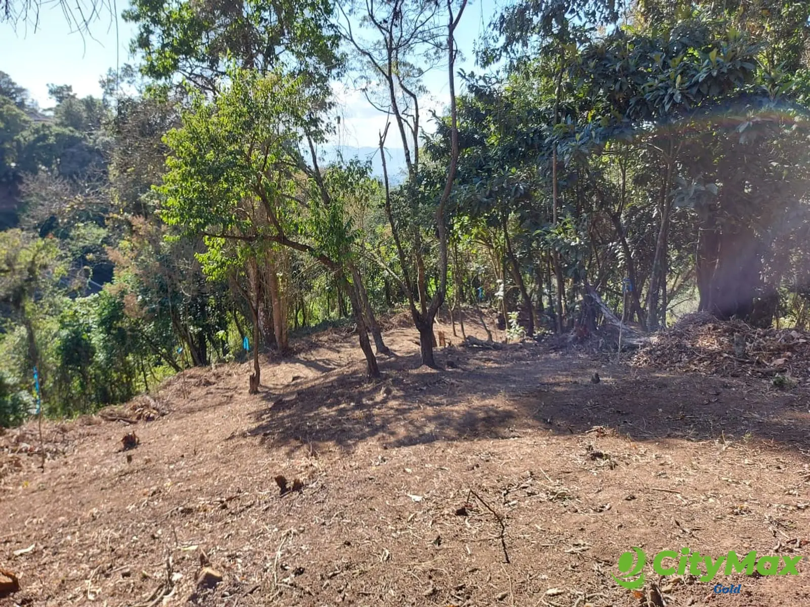 LAS CASUARINAS DE SANTA ROSALÍA - foto 16