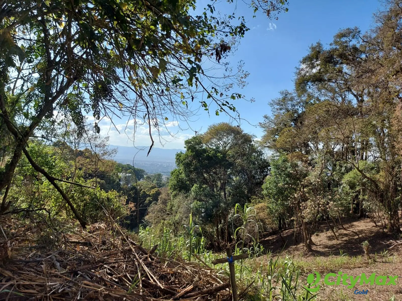 LAS CASUARINAS DE SANTA ROSALÍA - foto 7