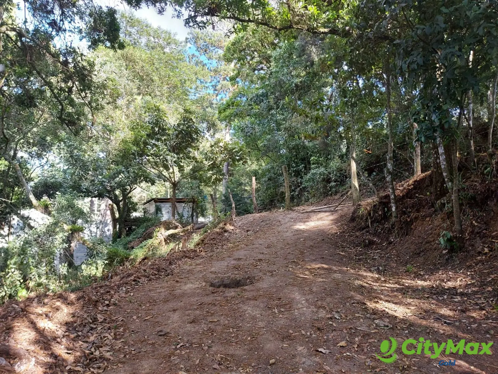 LAS CASUARINAS DE SANTA ROSALÍA - foto 5