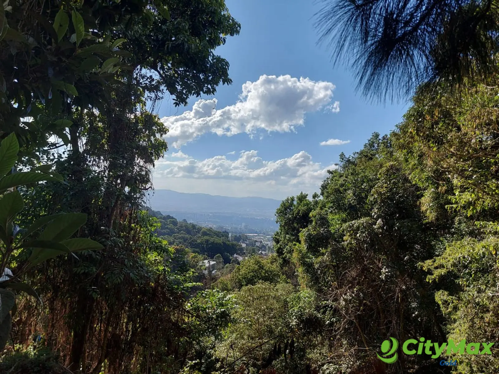 LAS CASUARINAS DE SANTA ROSALÍA - foto 10