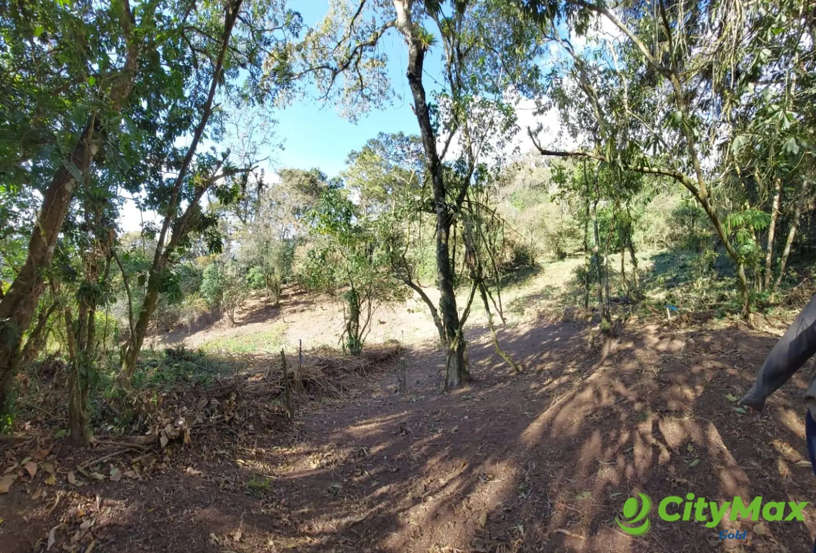 LAS CASUARINAS DE SANTA ROSALÍA - foto 15