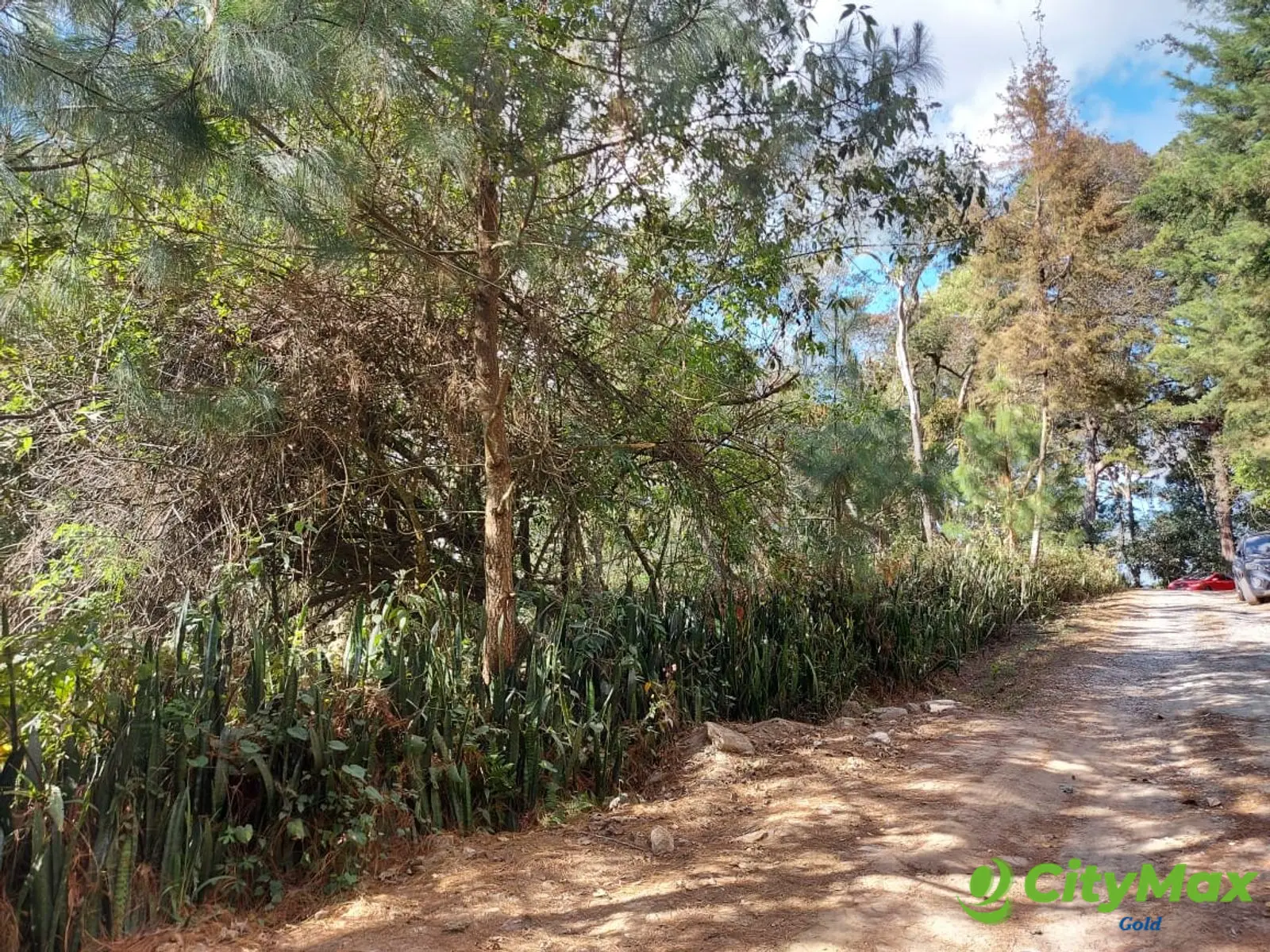 LAS CASUARINAS DE SANTA ROSALÍA - foto 2