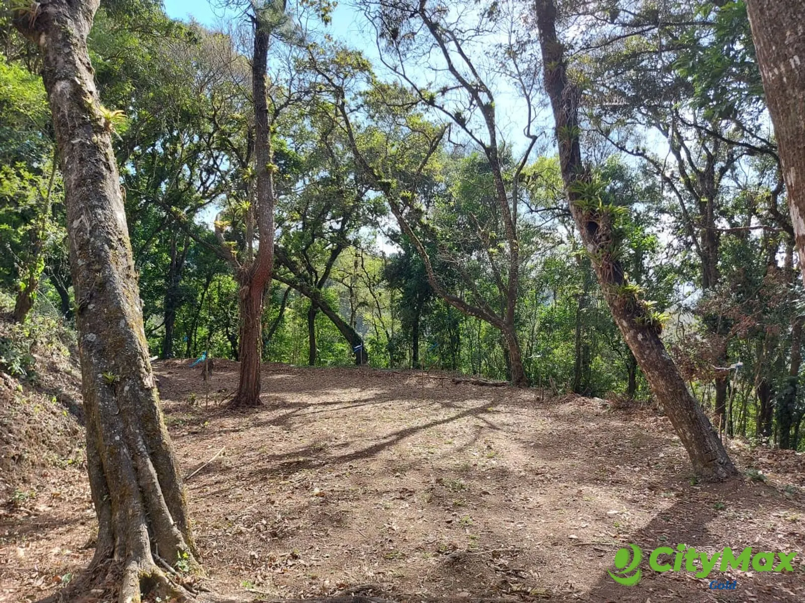 LAS CASUARINAS DE SANTA ROSALÍA - foto 3