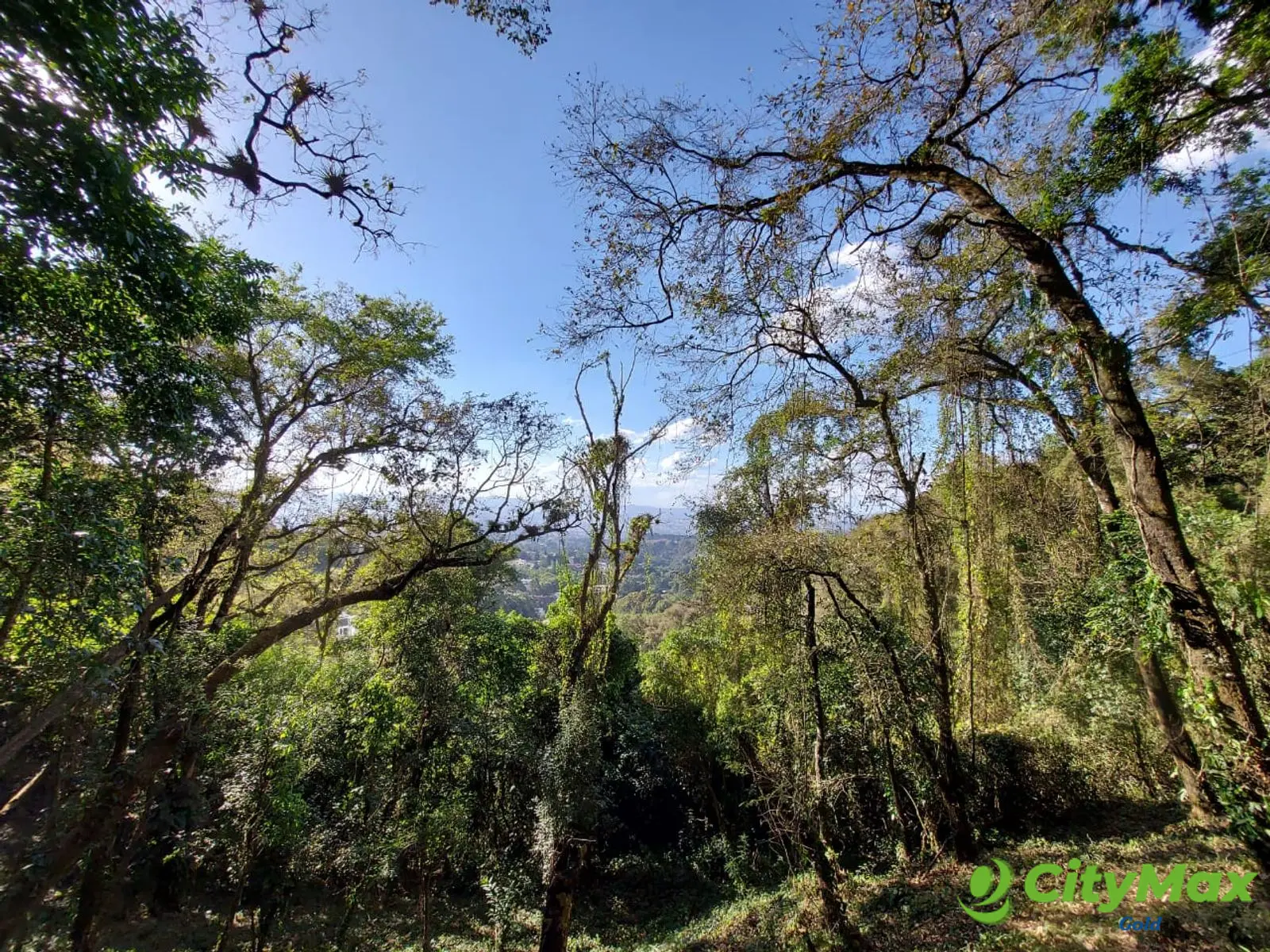 LAS CASUARINAS DE SANTA ROSALÍA - foto 9
