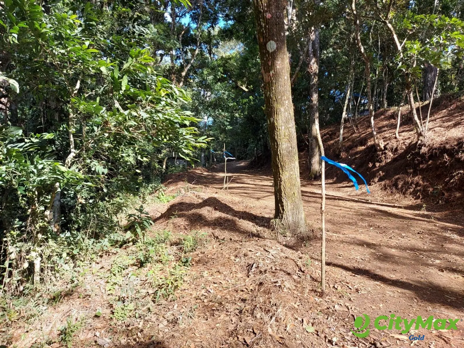 LAS CASUARINAS DE SANTA ROSALÍA - foto 13