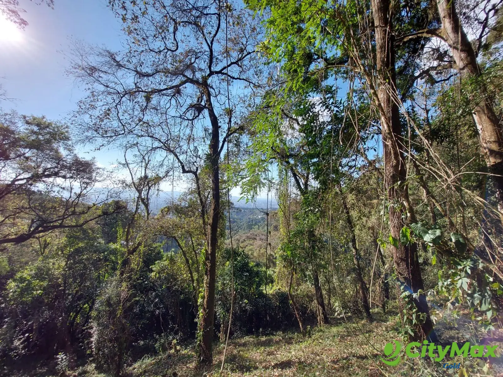 LAS CASUARINAS DE SANTA ROSALÍA - foto 4