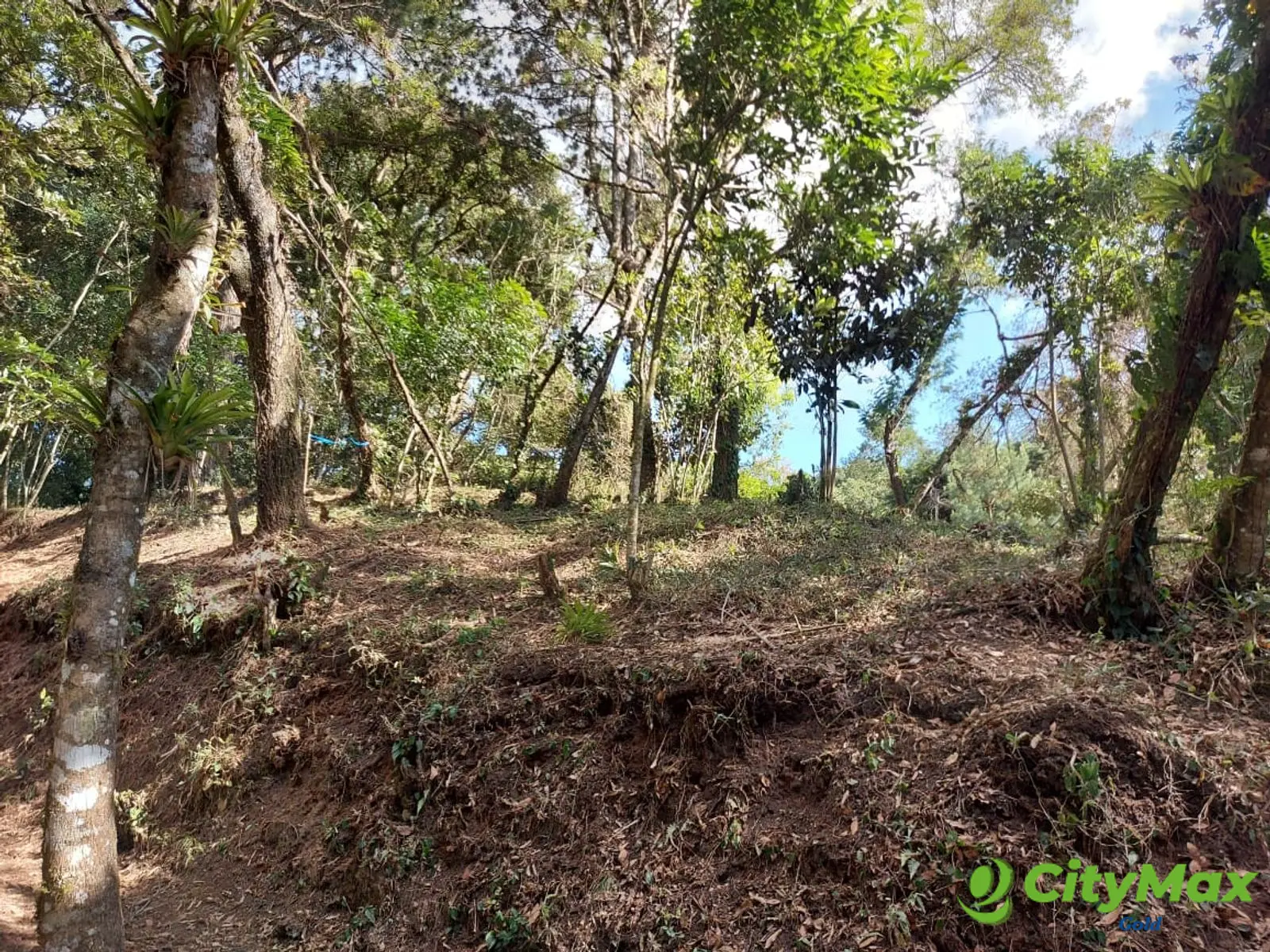 LAS CASUARINAS DE SANTA ROSALÍA - foto 8