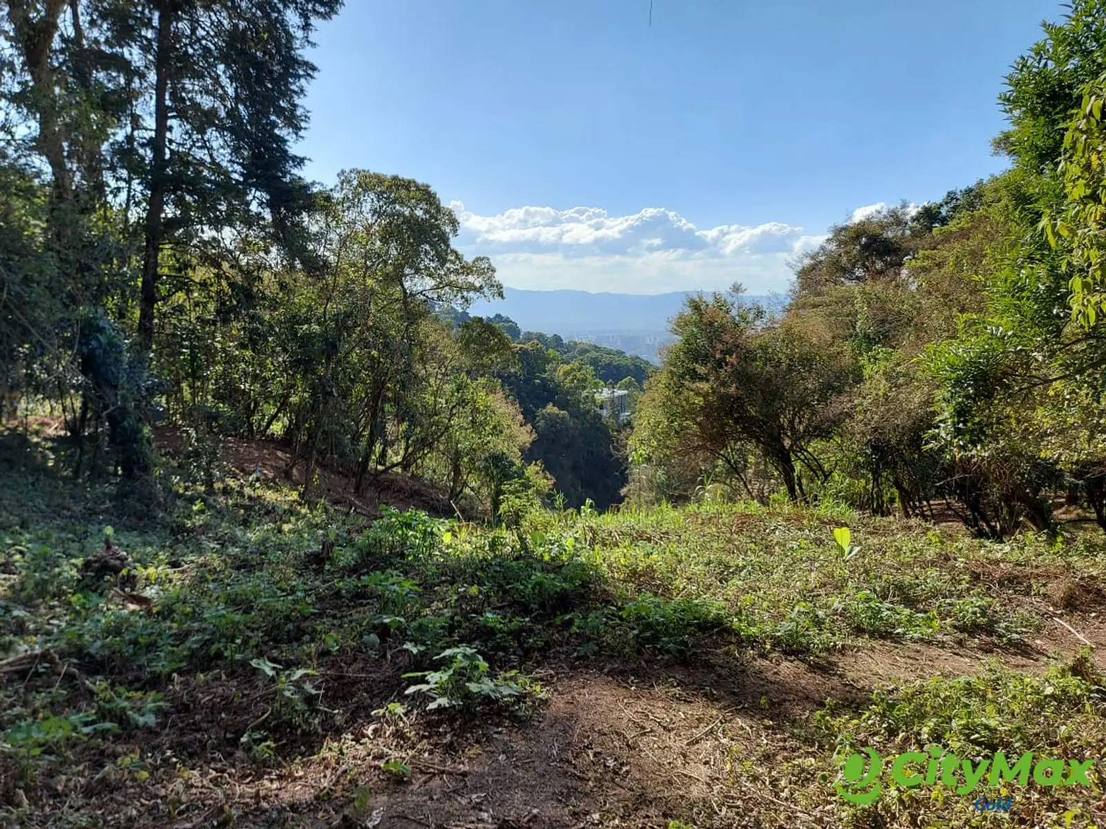 LAS CASUARINAS DE SANTA ROSALÍA - foto 14