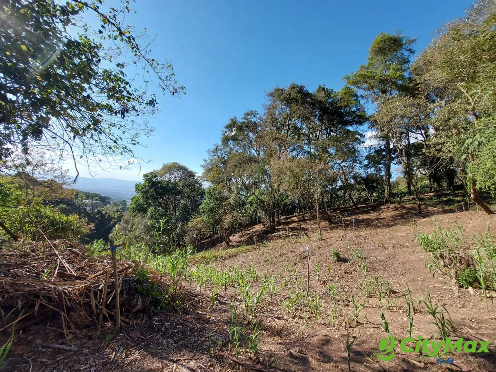 LAS CASUARINAS DE SANTA ROSALÍA - foto 12