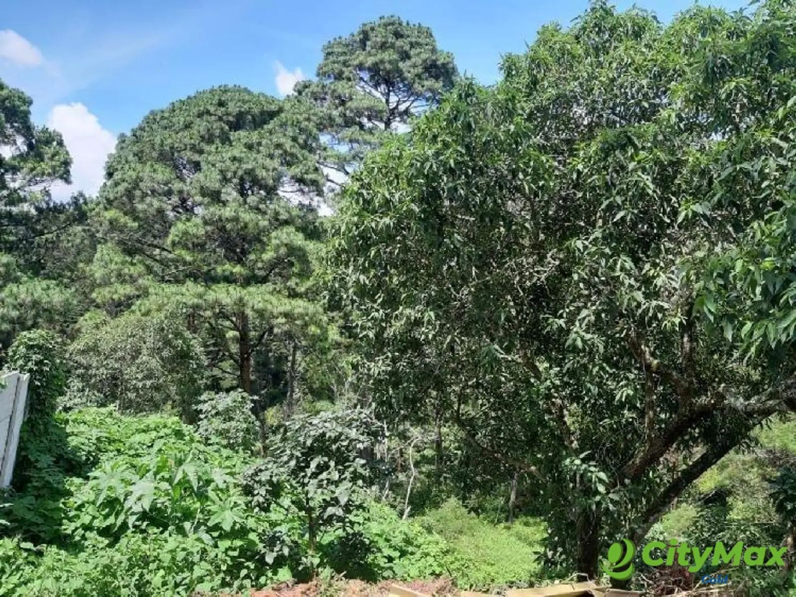 Terreno en venta en Venta en Monte Pinasco Fraijanes - foto 1