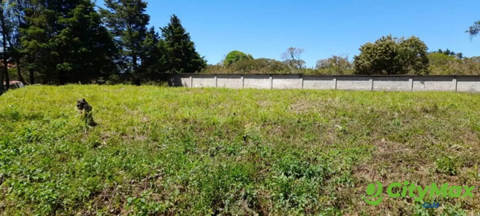 Terreno en venta en Casa y Campo  Fraijanes Guatemala - foto 1
