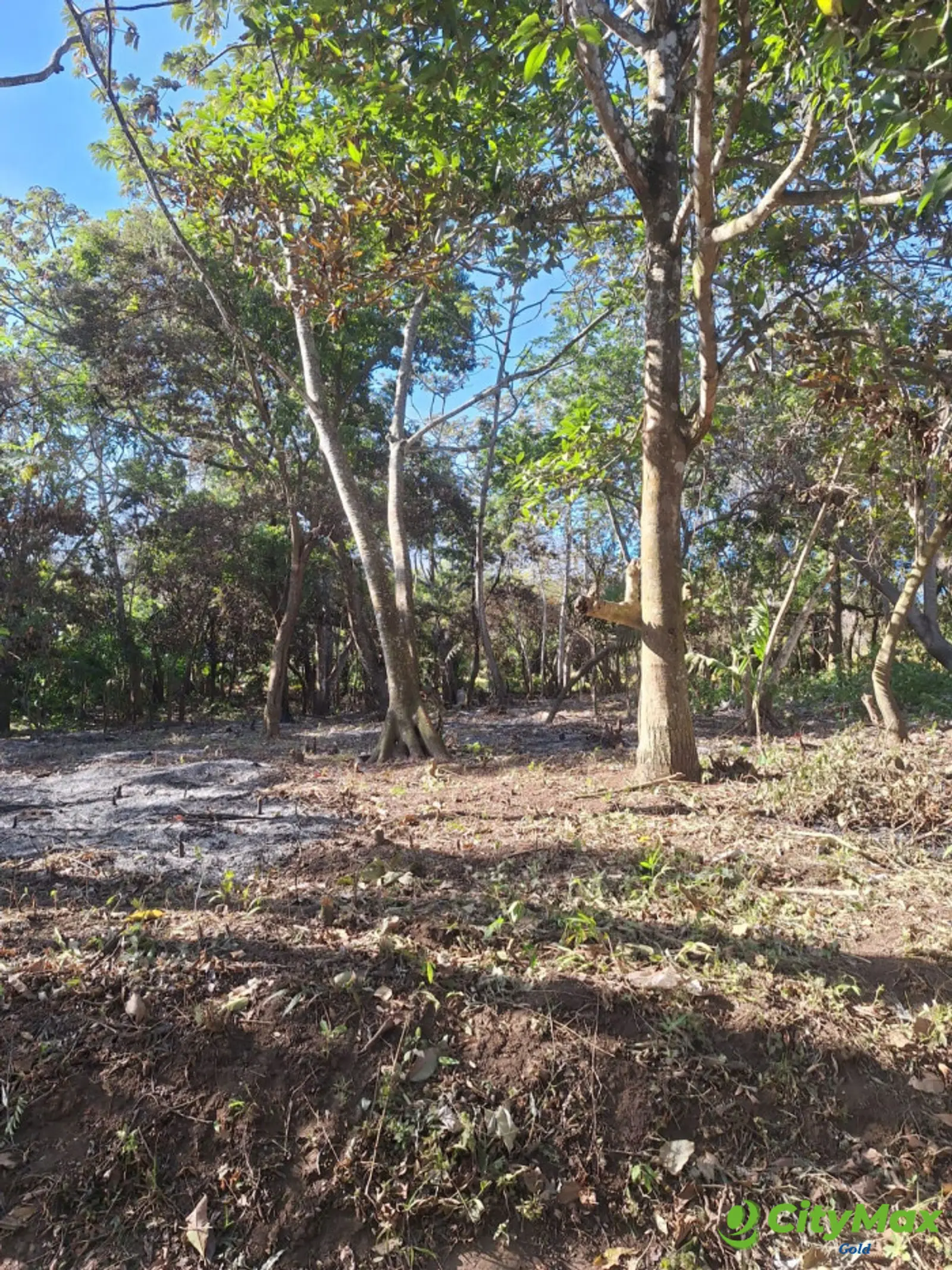 Terreno Residencial en Condominio de Palin Escuintla - foto 1