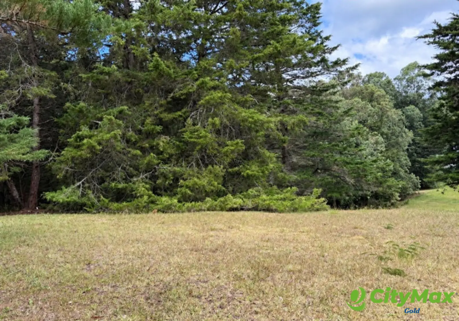 Terreno en venta en Hacienda Nueva Country Club - foto 1