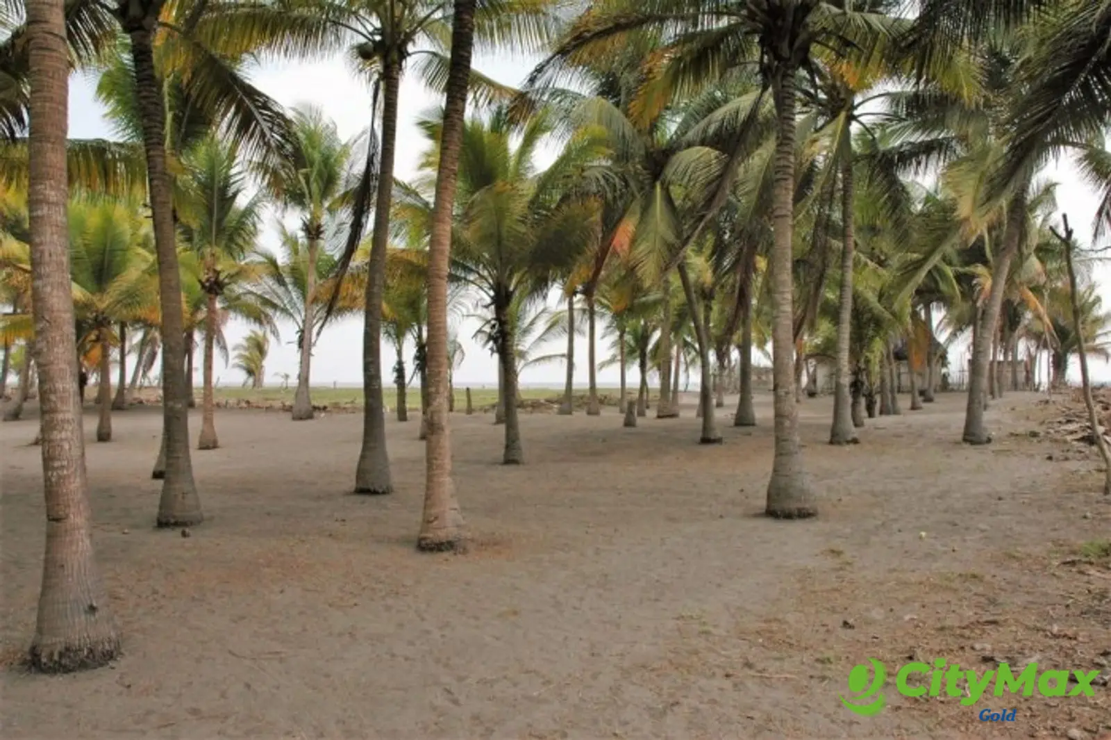 Terreno frente al mar con chalet en venta Playa Tulate - foto 1