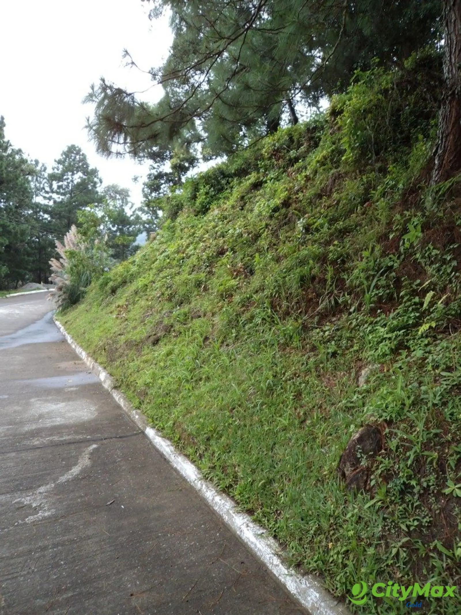 Vendo Terreno en Zona 16 - foto 4