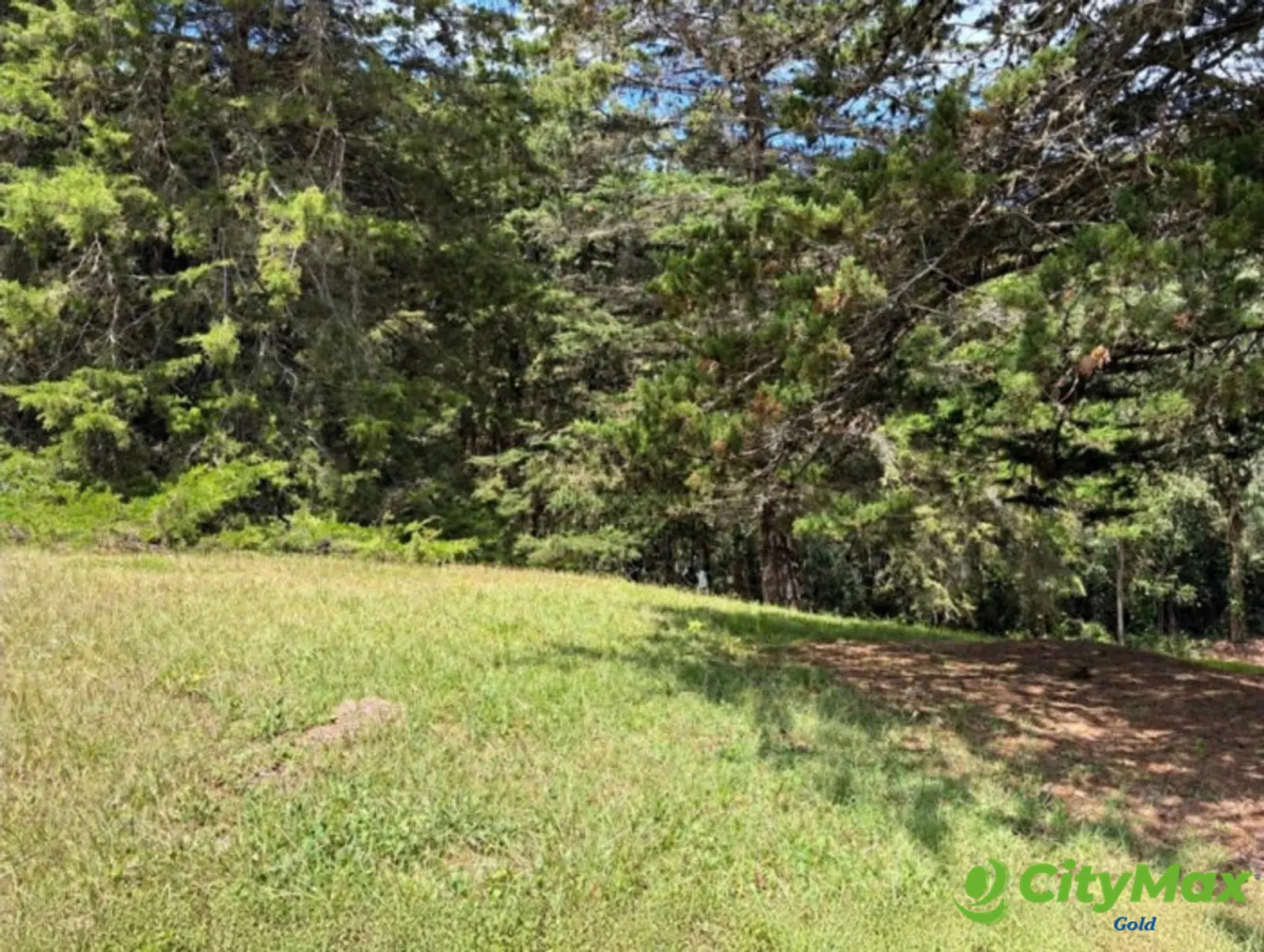 Terreno en venta en Hacienda Nueva Country Club - foto 5