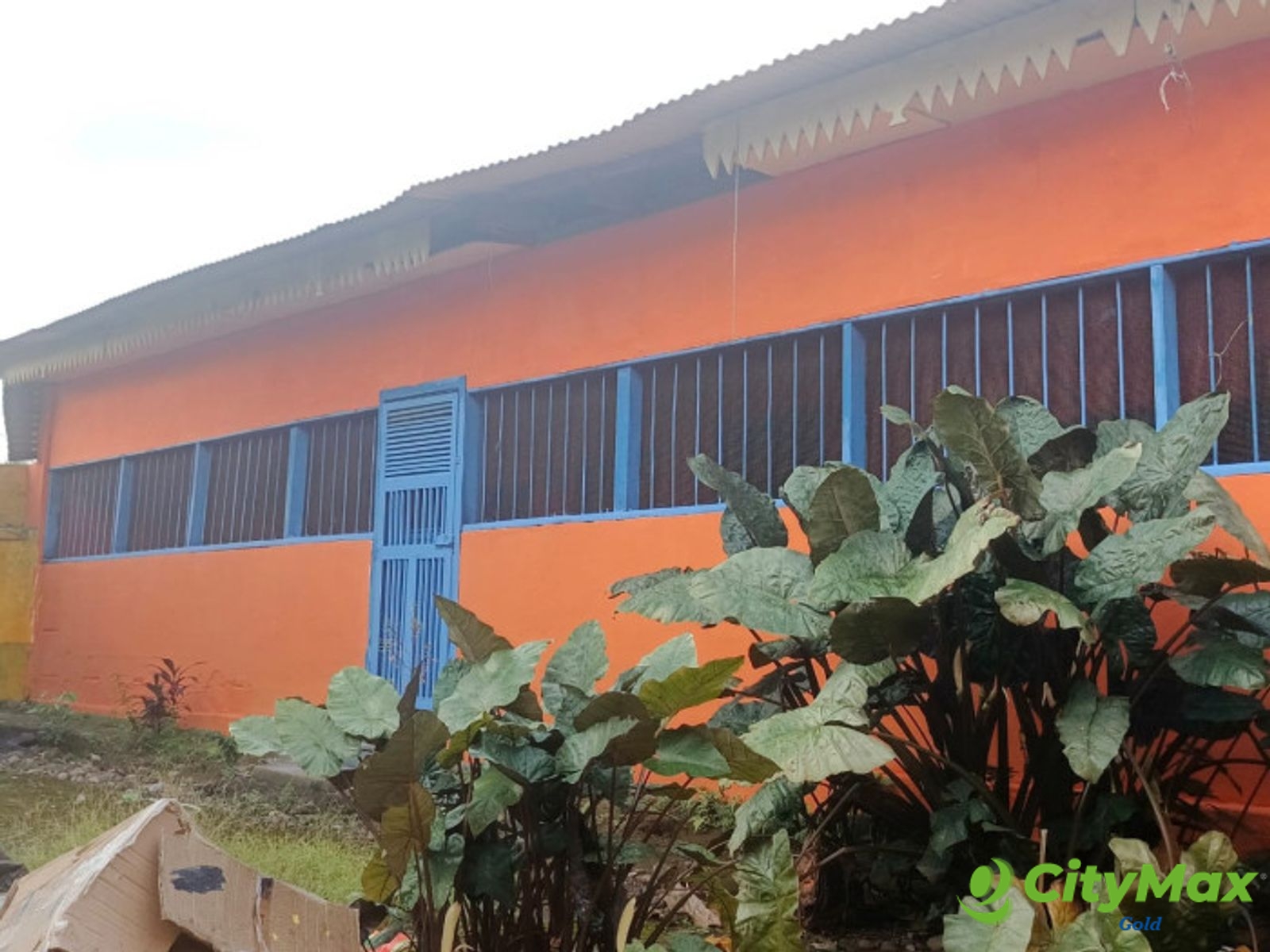 Image 1