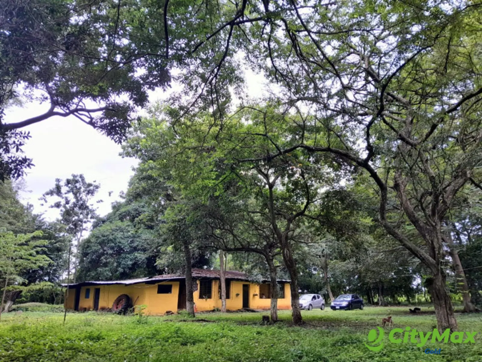 Terreno en renta en Masagua Escuintla - foto 3