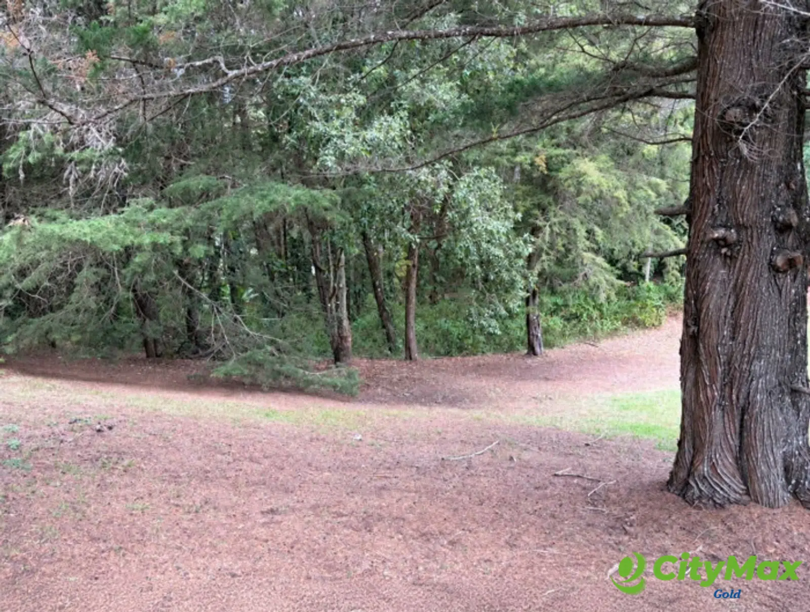 Terreno en venta en Hacienda Nueva Country Club - foto 4