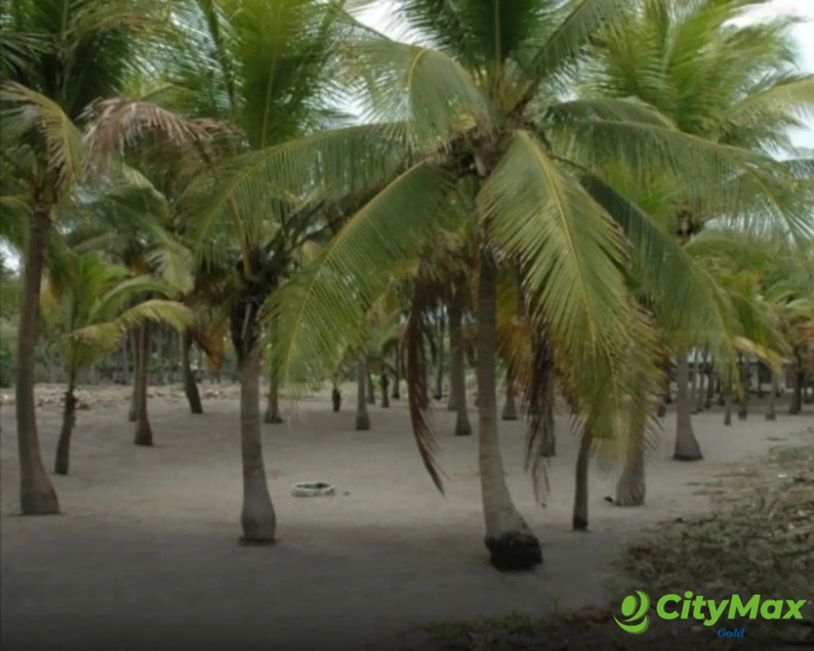 Terreno frente al mar con chalet en venta Playa Tulate - foto 5