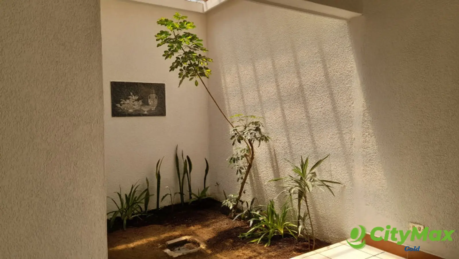 Casa en Renta en Aurora 2 zona 13. - patio interior