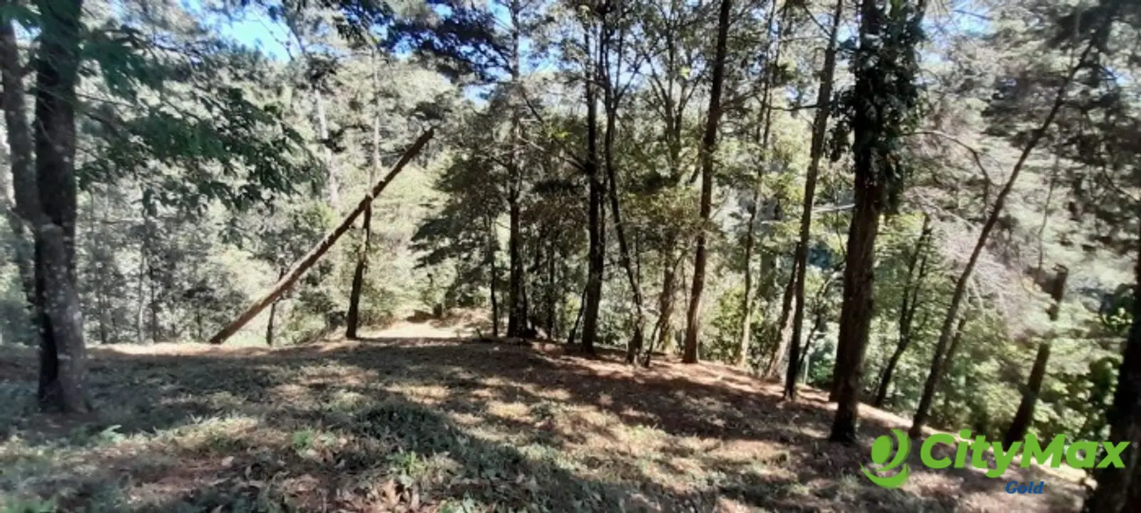 Terreno en venta en Casa y Campo  Fraijanes Guatemala - foto 4
