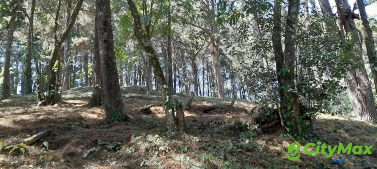 Terreno en venta en Casa y Campo  Fraijanes Guatemala - foto 3