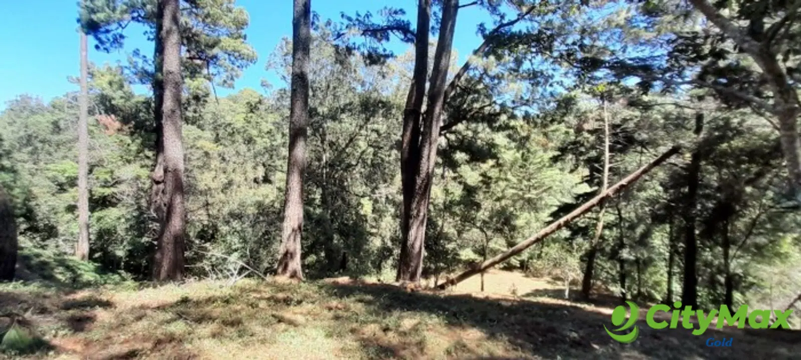Terreno en venta en Casa y Campo  Fraijanes Guatemala - foto 5
