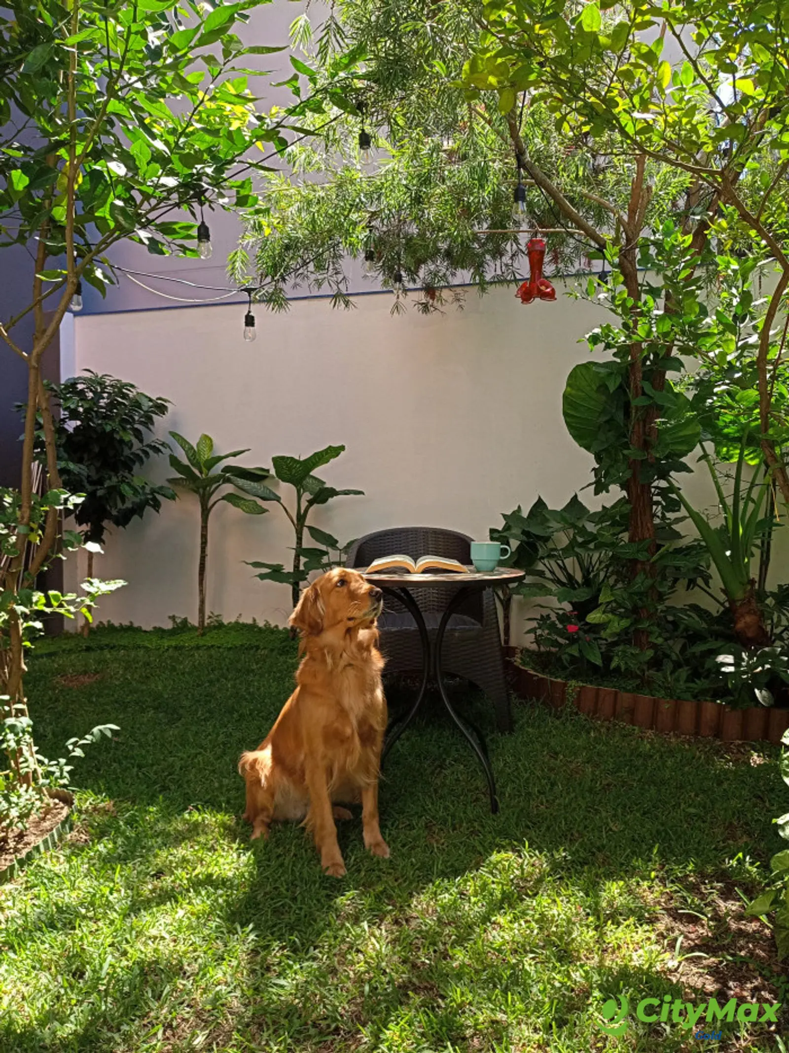 Apartamento en renta con pérgola y jardín en zona 14 - foto 21