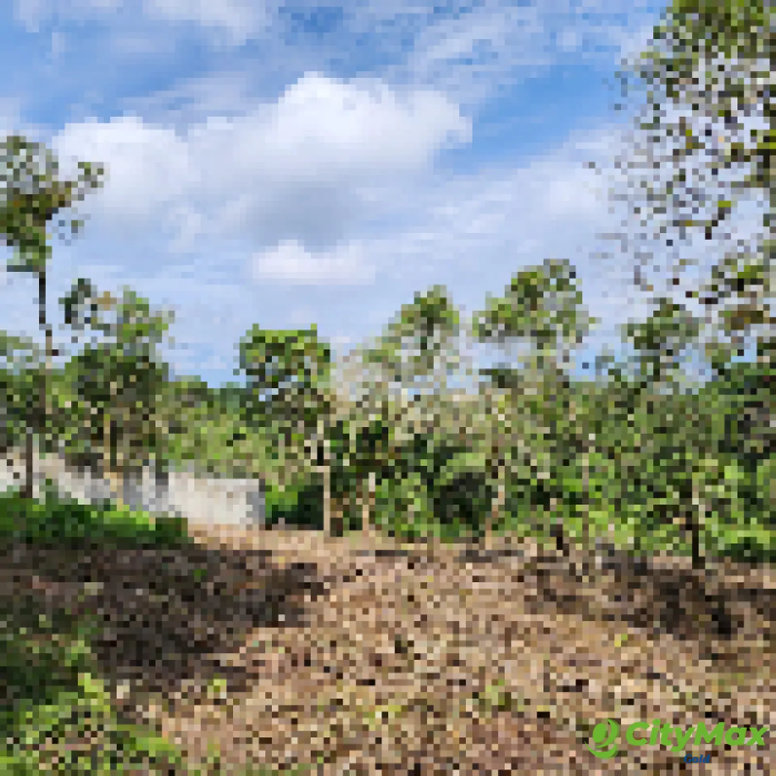 Terreno en venta en San Vicente Km. 16.5 de CAES - foto 7