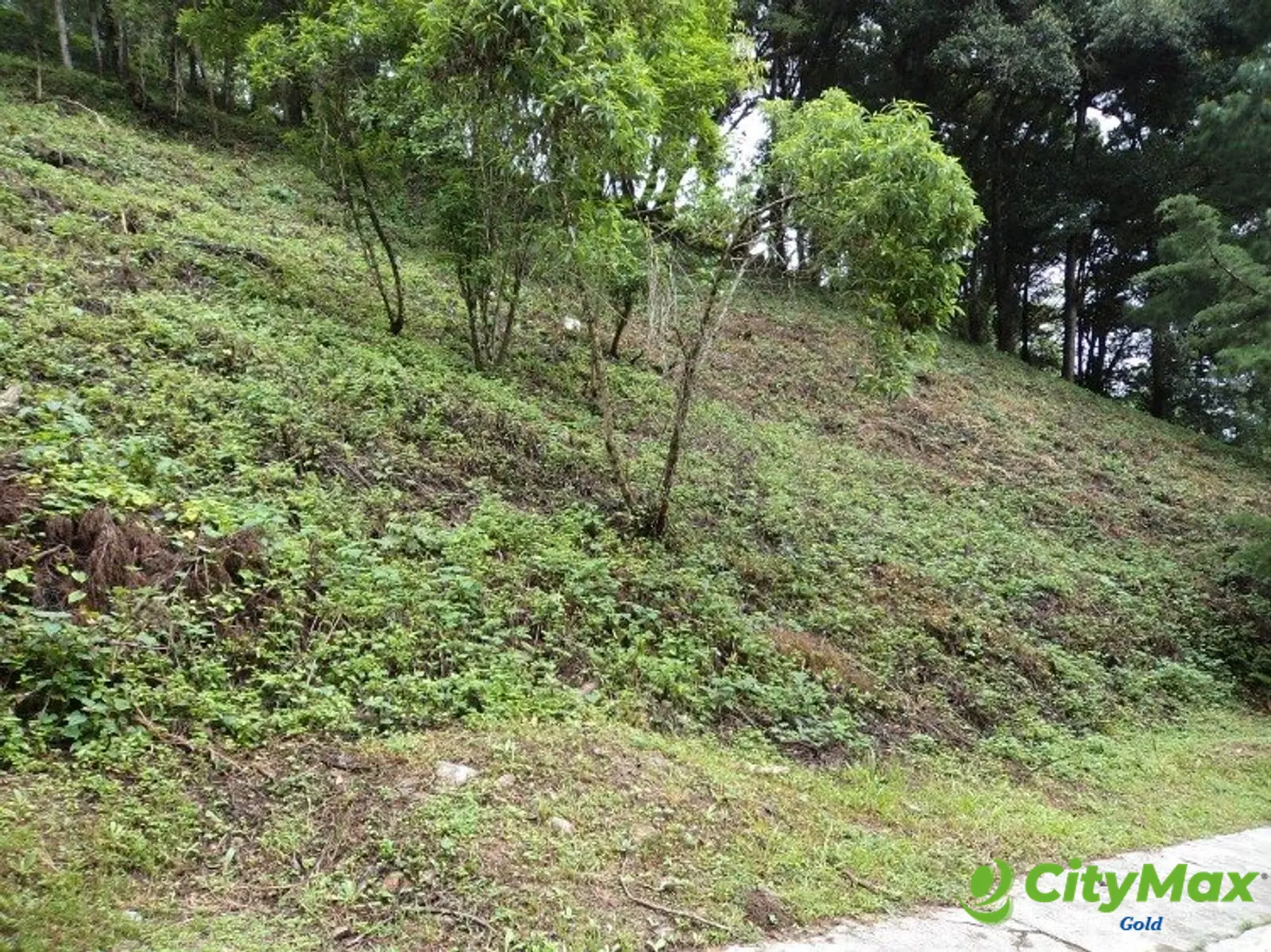 Terreno en venta en zona 16 Las Cumbres Guatemala - foto 5