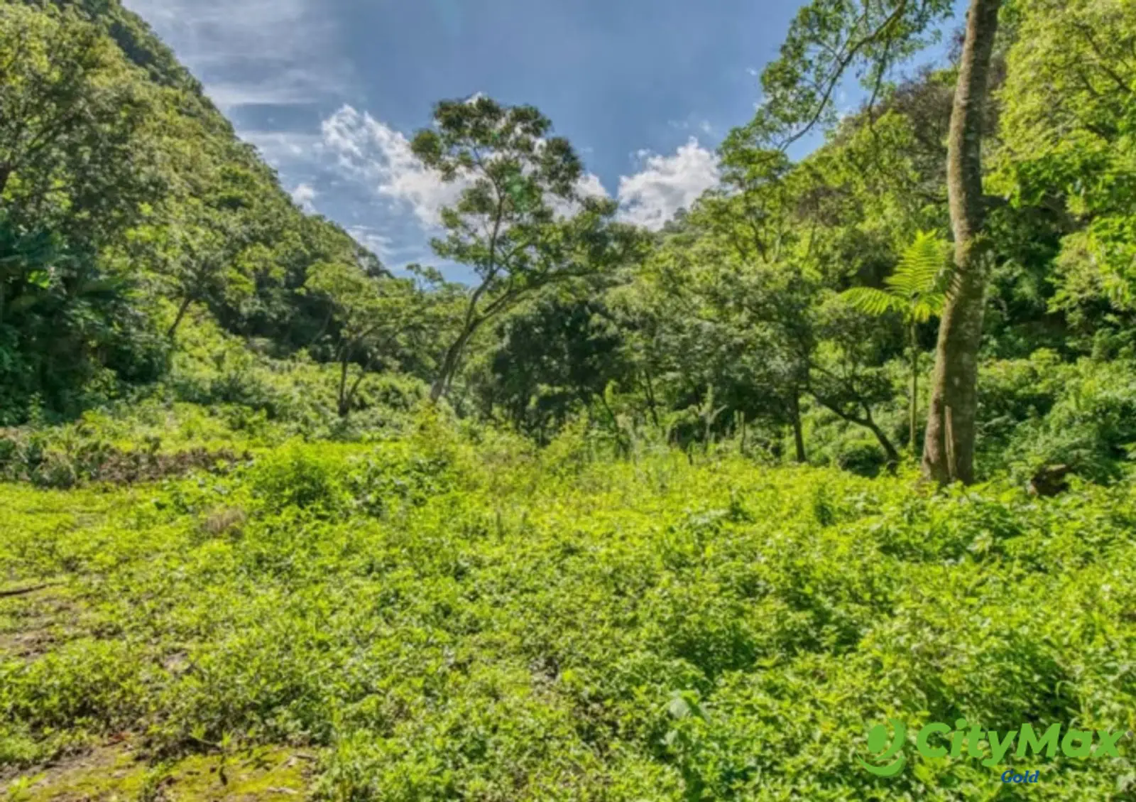 Finca en Venta en Aldea Santa Ana, La Antigua Guatemala - foto 8
