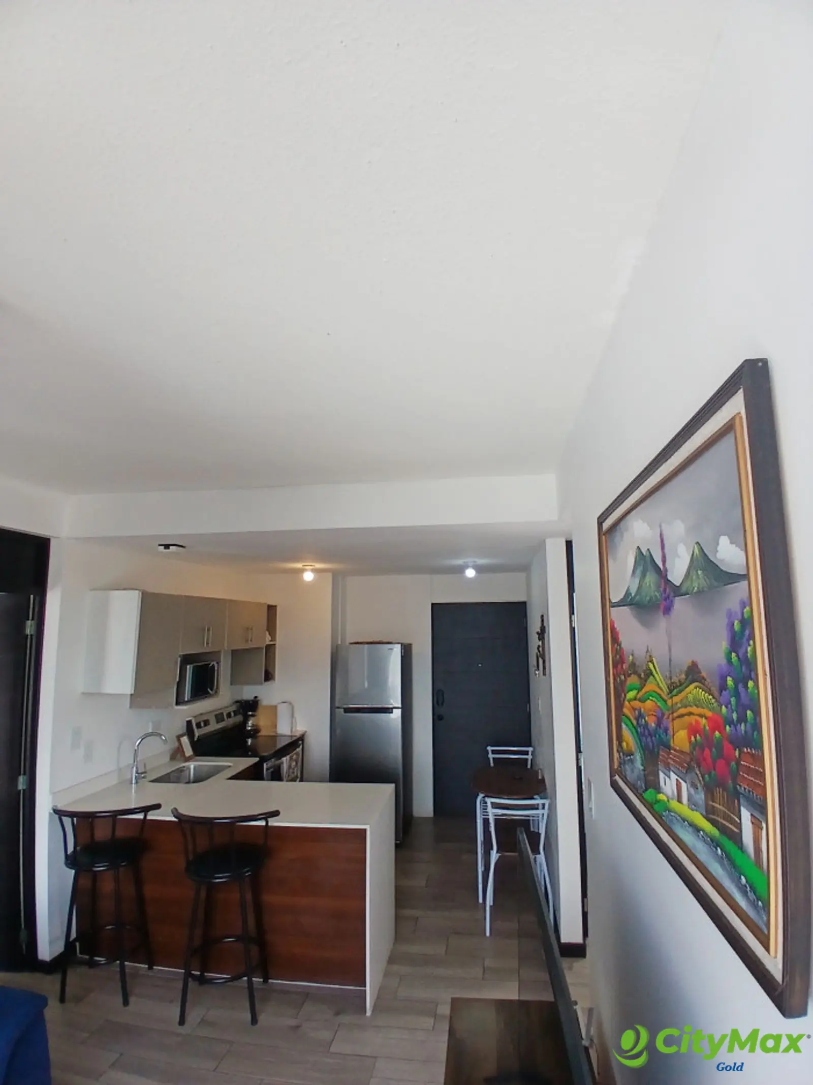 Apartamento amueblado  en venta en zona 12 - foto 3