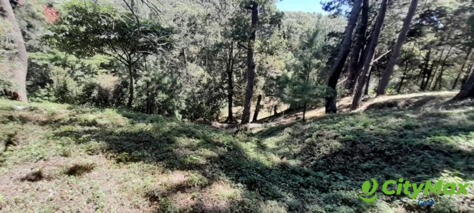 Terreno en venta en Casa y Campo  Fraijanes Guatemala - foto 6