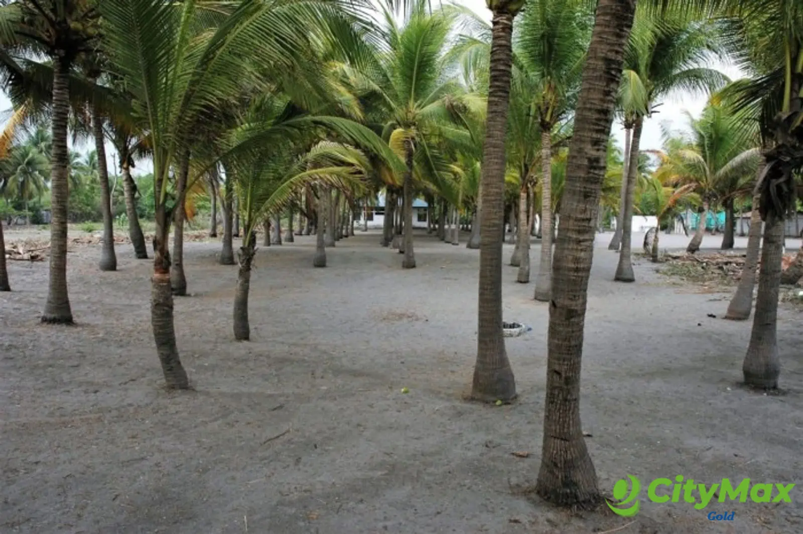 Terreno frente al mar con chalet en venta Playa Tulate - foto 6