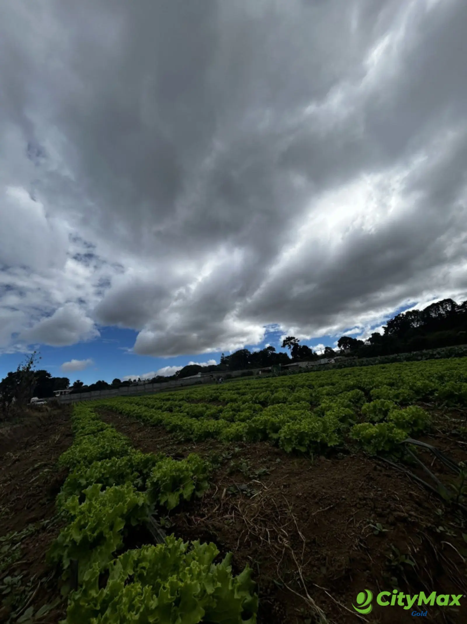 Terreno en Venta en Santo Tomas Milpas Altas - foto 4