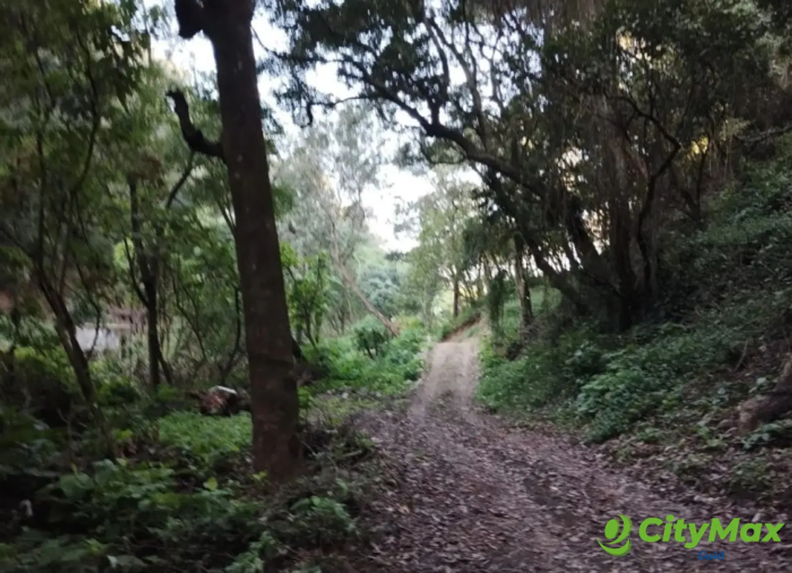 Finca en Venta en Aldea Santa Ana, La Antigua Guatemala - foto 3