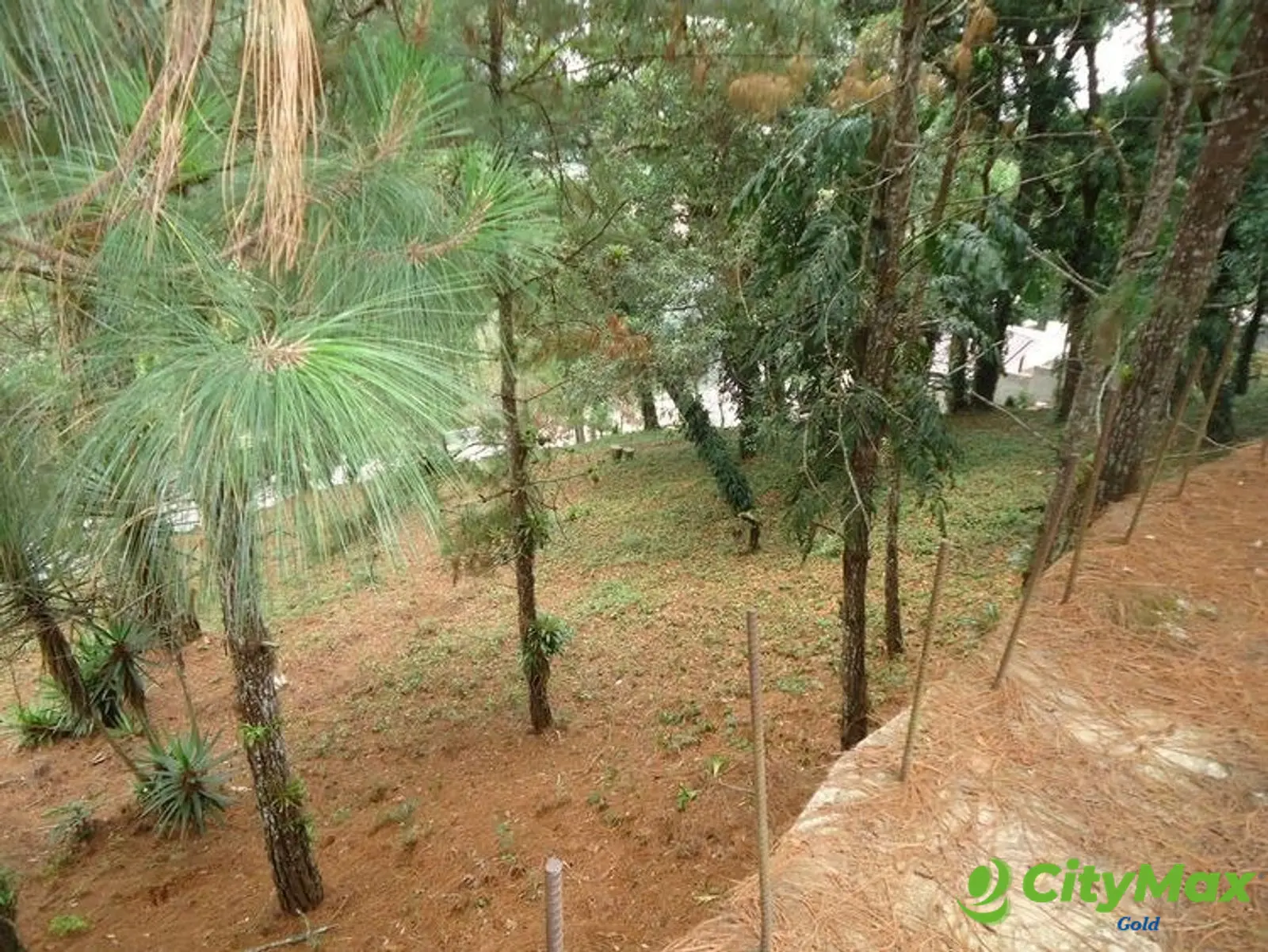 Terreno en venta en Las Cumbres zona 16 Guatemala - foto 4