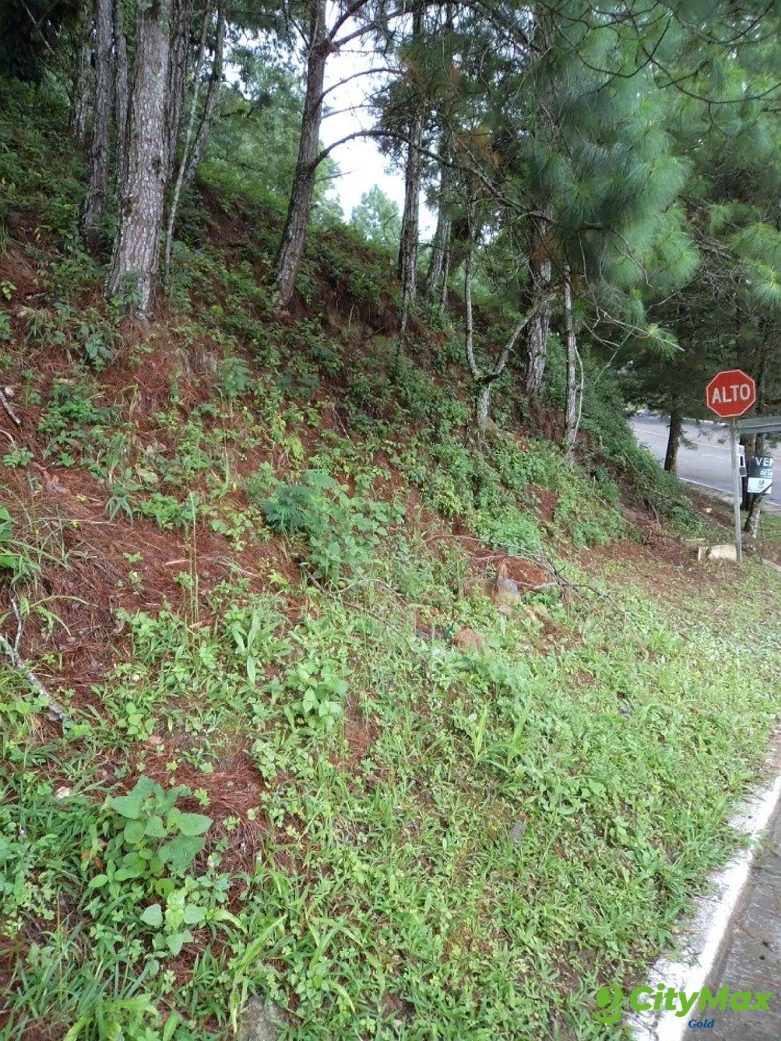 Vendo Terreno en Zona 16 - foto 5