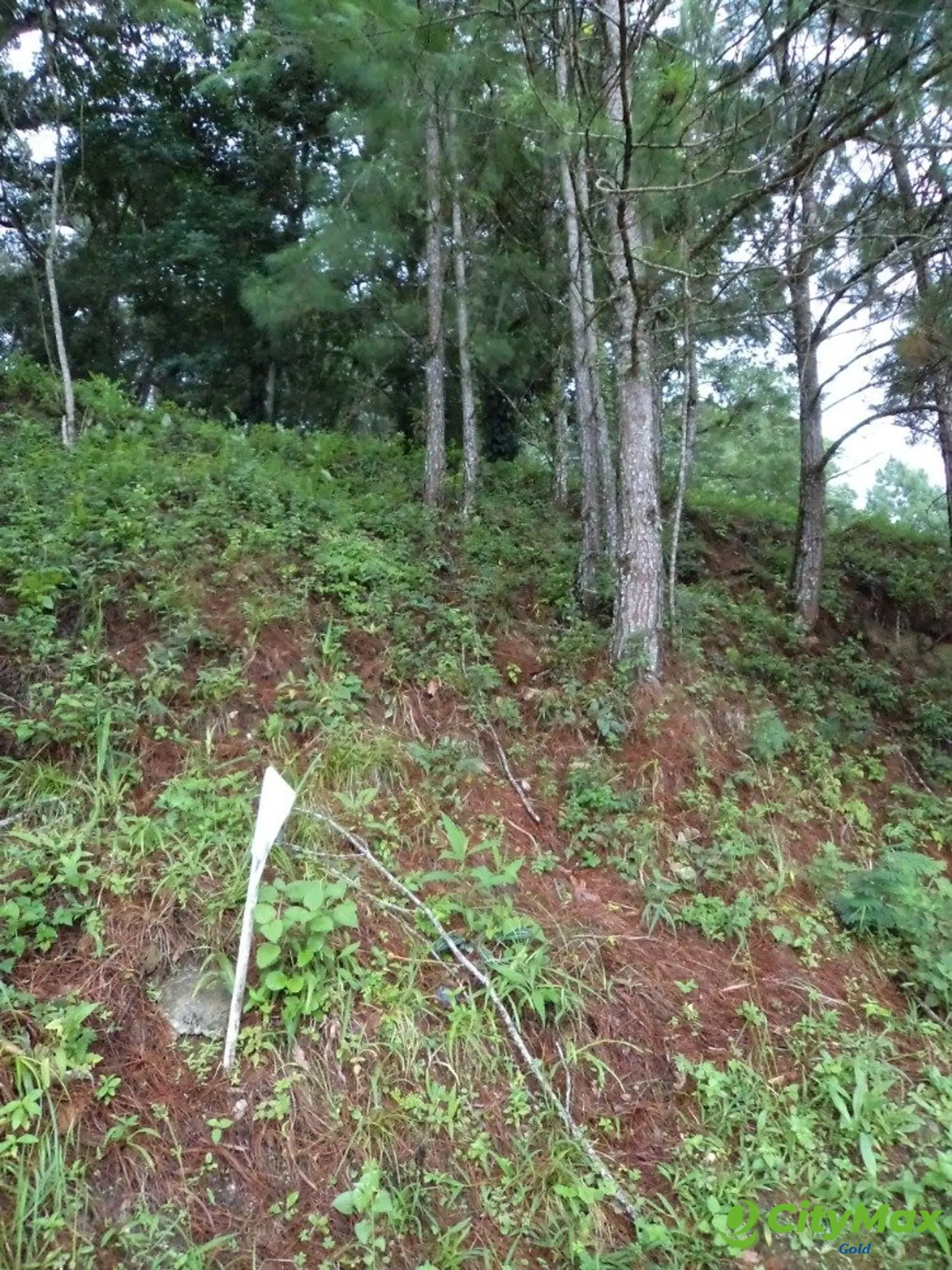 Vendo Terreno en Zona 16 - foto 2