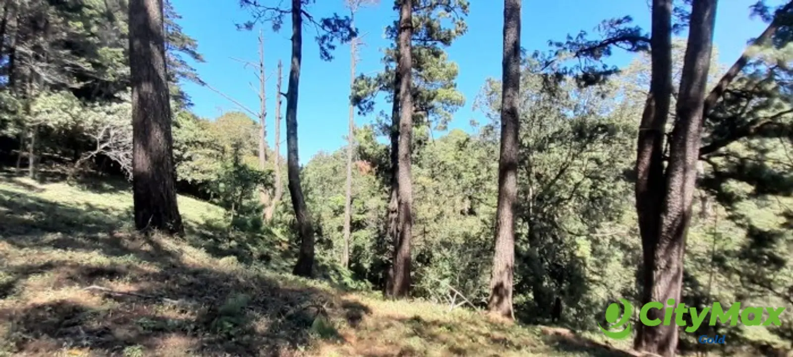 Terreno en venta en Casa y Campo  Fraijanes Guatemala - foto 7