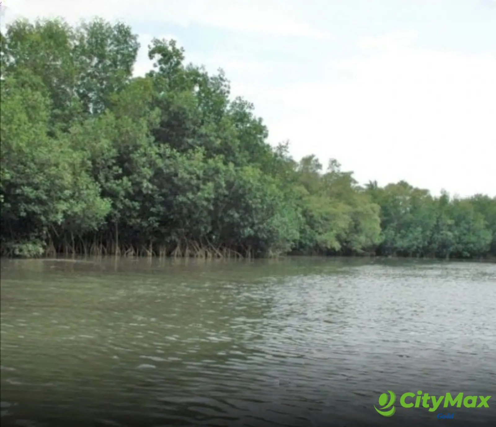 Terreno frente al mar con chalet en venta Playa Tulate - foto 8