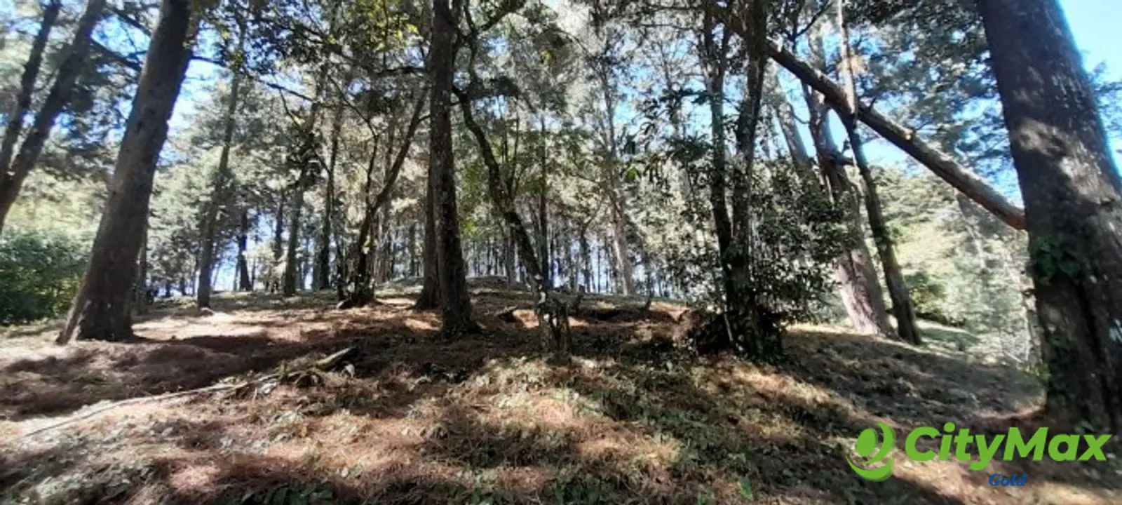 Terreno en venta en Casa y Campo  Fraijanes Guatemala - foto 9