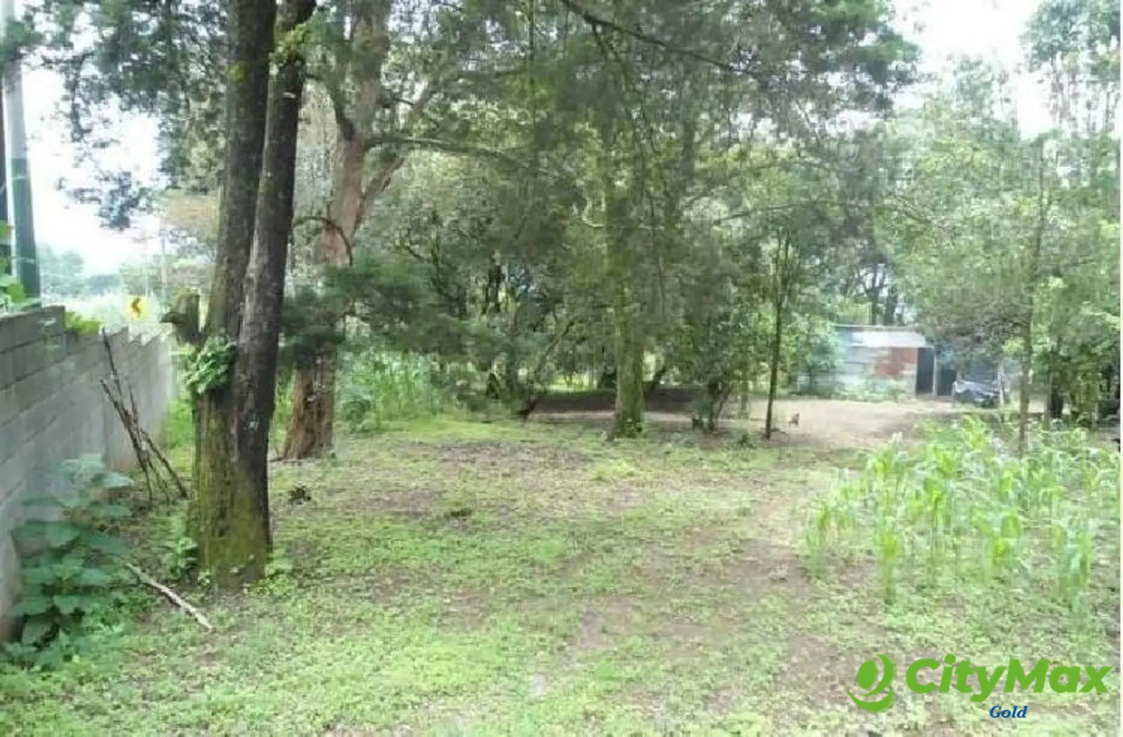 Terreno en Km. 26 sobre Carretera a El Salvador Guate - foto 3