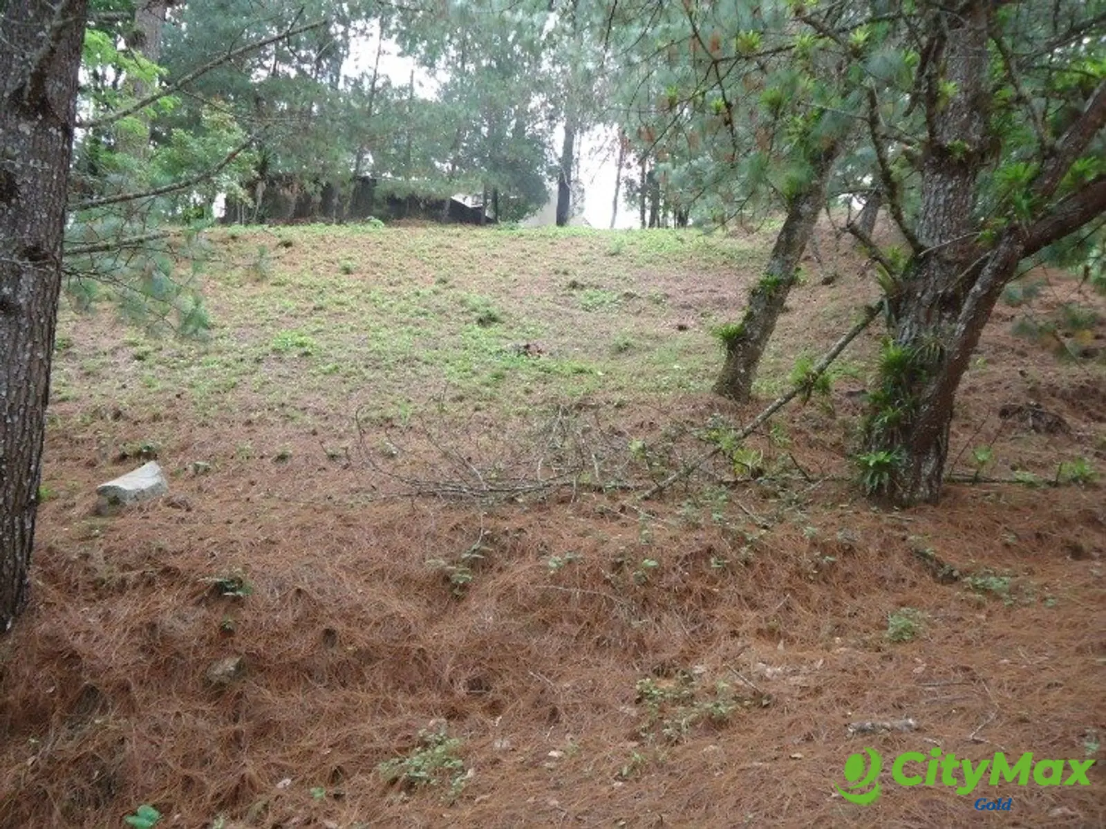 Terreno en venta en Las Cumbres zona 16 Guatemala - foto 3