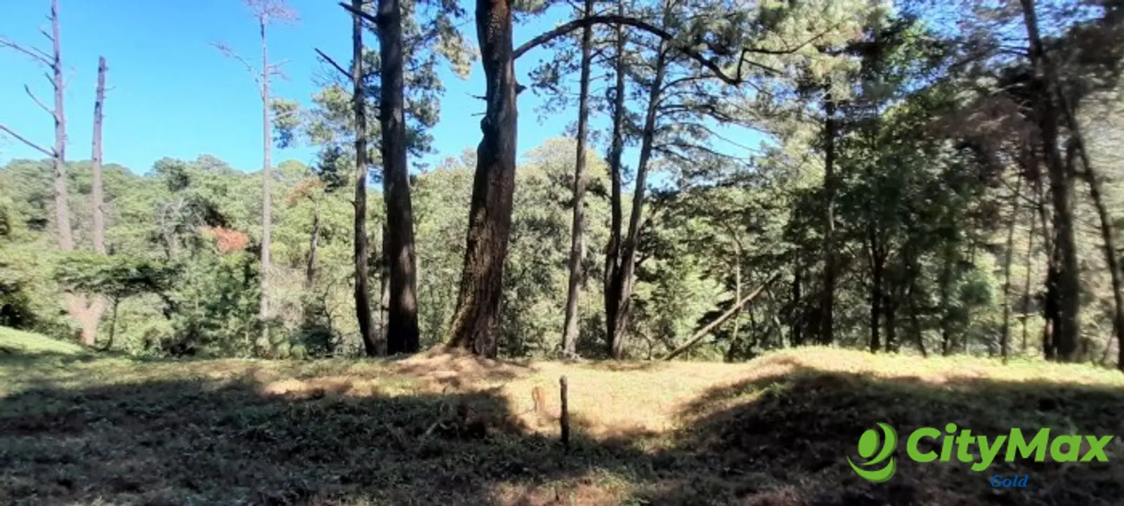 Terreno en venta en Casa y Campo  Fraijanes Guatemala - foto 8